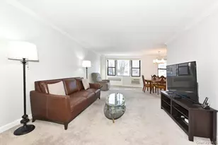 4 Birchwood Ct, Mineola, NY 11501 - Photo 3