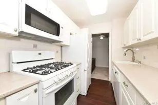 4 Birchwood Ct, Mineola, NY 11501 - Photo 7