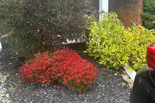 60 The Rise, Warwick, NY 10990 - Photo 45