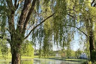 363 Ivy Trail, Rhinebeck, NY 12572 - Photo 41