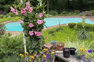 10 Sarah Dr, Dix Hills, NY 11746 - Photo 37