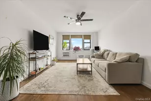 6 Birchwood Ct, Mineola, NY 11501 - Photo 7