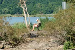 207 Devries Ct, Piermont, NY 10968 - Photo 35