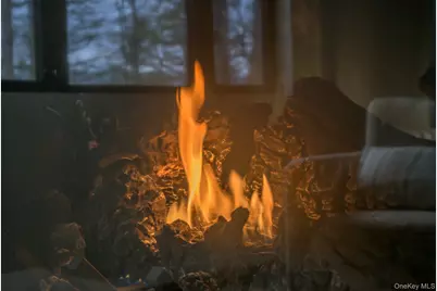 31 Windham Farms Road, Windham, NY 12496 - Photo 11