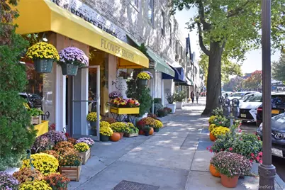 25 Parkview Avenue #2A, Bronxville, NY 10708 - Photo 35