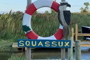 9 Wallace Ln, Brookhaven, NY 11719 - Photo 43