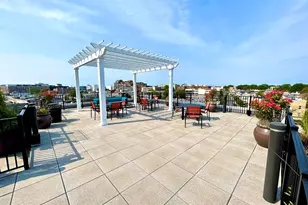 119 Searing Ave, Mineola, NY 11501 - Photo 3