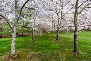 660 Chicken Valley Rd, Locust Valley, NY 11560 - Photo 35