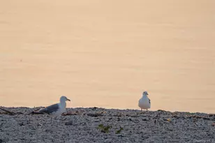 20715 Main Rd, Orient, NY 11957 - Photo 23