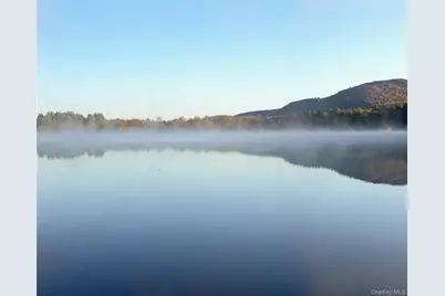 127 Queechy Shores Beach, Canaan, NY 12029 - Photo 35