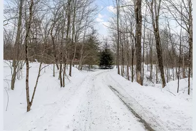 35 Appaloosa Lane, Millbrook, NY 12545 - Photo 13