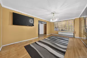 1108 Willmohr St, Brooklyn, NY 11212 - Photo 25