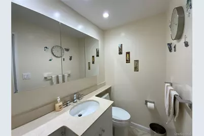 26910 Grand Central Parkway #4V, Floral Park, NY 11005 - Photo 17