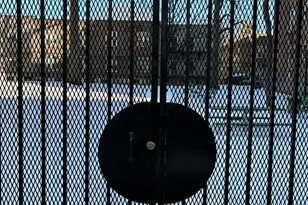 1430 Thieriot Ave, Bronx, NY 10460 - Photo 21