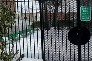 1430 Thieriot Ave, Bronx, NY 10460 - Photo 23