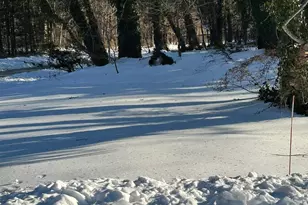 38 Maria Ct, Holbrook, NY 11741 - Photo 7