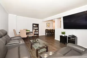 101 Lincoln Ave, Mineola, NY 11501 - Photo 5