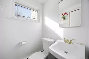 87 Executive Dr, New Hyde Park, NY 11040 - Photo 23