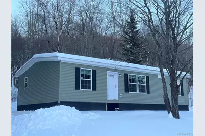 317 Debruce Road, Livingston Manor, NY 12758 - Photo 1