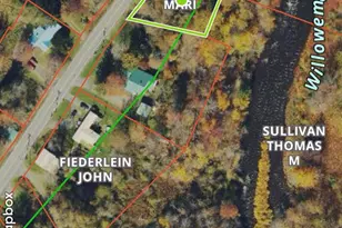317 Debruce Rd, Livingston Manor, NY 12758 - Photo 37