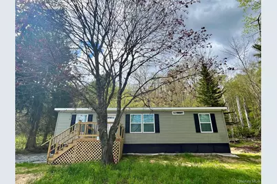 317 Debruce Road, Livingston Manor, NY 12758 - Photo 1
