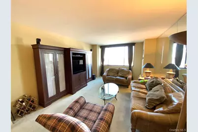 27110 Grand Central Parkway #10F, Floral Park, NY 11005 - Photo 3