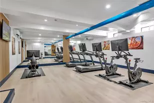 21 Barstow Rd, Great Neck, NY 11021 - Photo 17