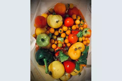 5845 E Bridge Lane NE, Cutchogue, NY 11935 - Photo 29