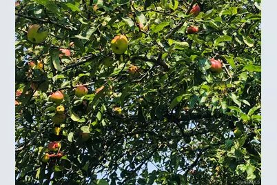 5845 E Bridge Lane NE, Cutchogue, NY 11935 - Photo 33