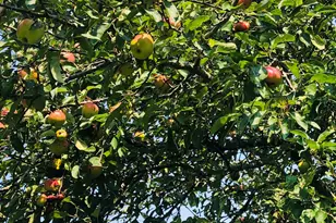 5845 E Bridge Ln NE, Cutchogue, NY 11935 - Photo 33