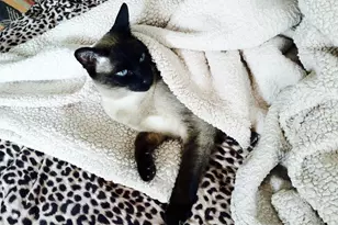 90 Bryant Ave, White Plains, NY 10605 - Photo 31