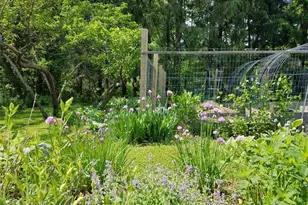 41 Ulster Ave, Ulster Park, NY 12487 - Photo 21