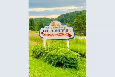 3 Burr Road, Cochecton Center, NY 12726 - Photo 3