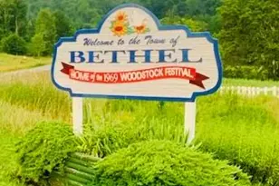 3 Burr Rd, Cochecton Center, NY 12726 - Photo 3