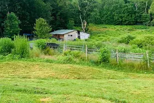 3 Burr Rd, Cochecton Center, NY 12726 - Photo 13