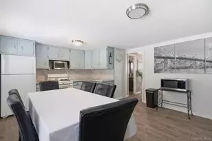 101 Spruce Ave, Bethpage, NY 11714 - Photo 19