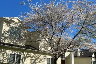 9 Meadowbrook Ln, Old Westbury, NY 11568 - Photo 3