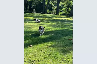 96 Brooksite Drive, Smithtown, NY 11787 - Photo 5