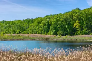 258 Hardscrabble Rd, North Salem, NY 10560 - Photo 3