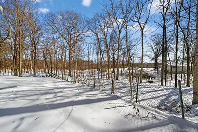 51 E Green Road, Rock Tavern, NY 12575 - Photo 37