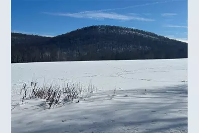 113 Dog Tail Corners Road, Wingdale, NY 12594 - Photo 5