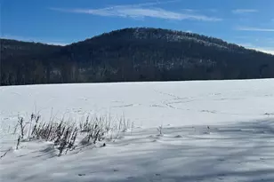 113 Dog Tail Corners Rd, Wingdale, NY 12594 - Photo 5