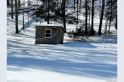 113 Dog Tail Corners Road, Wingdale, NY 12594 - Photo 25