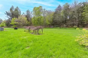 113 Dog Tail Corners Rd, Wingdale, NY 12594 - Photo 3