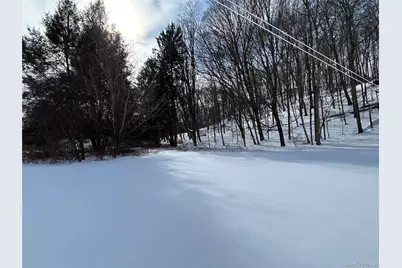 113 Dog Tail Corners Road, Wingdale, NY 12594 - Photo 15