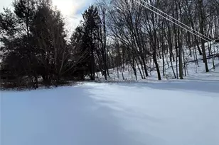 113 Dog Tail Corners Rd, Wingdale, NY 12594 - Photo 15