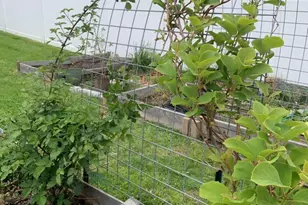 8 Autumn Ln, Stony Point, NY 10980 - Photo 39