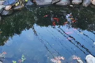 1 Blackford Ave, Yonkers, NY 10704 - Photo 23