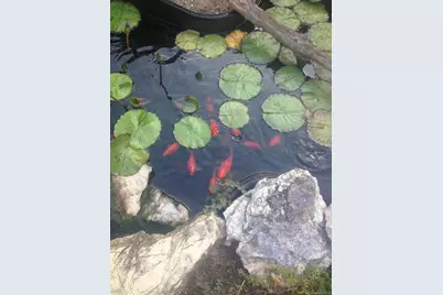 4 Abbington Place, Northport, NY 11768 - Photo 35