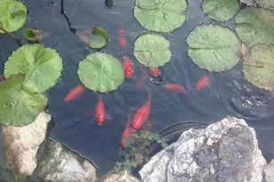 4 Abbington Pl, Northport, NY 11768 - Photo 35